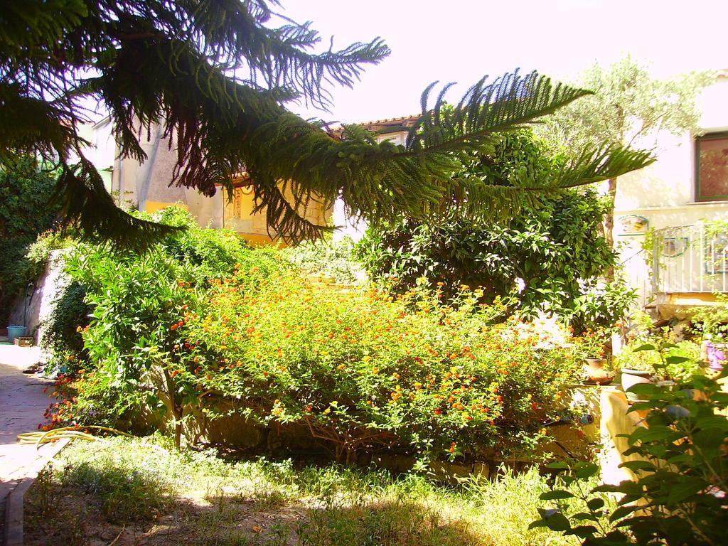 L'Antica Cantina Usini Bagian luar foto